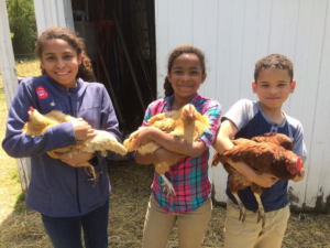 pic - children holding chikens